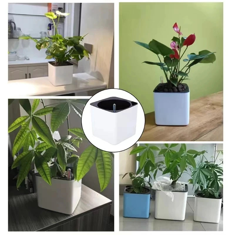 Minimalist White Plant Pots