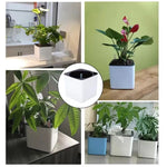 Minimalist White Plant Pots