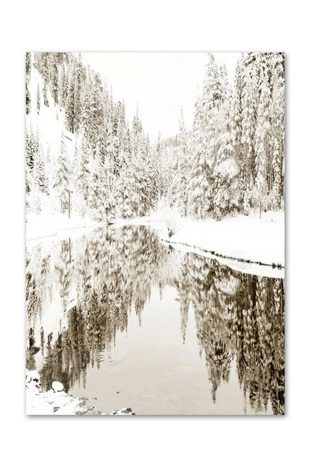 Winter Forest Canvas Poster