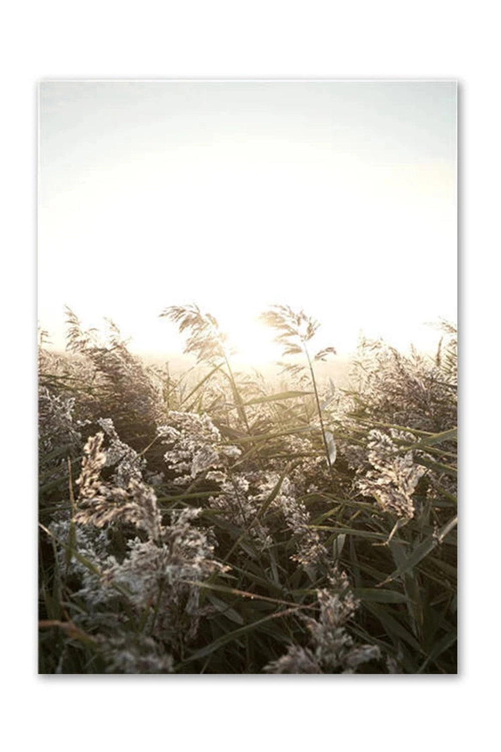 Light Academia Nordic Nature Canvas Poster