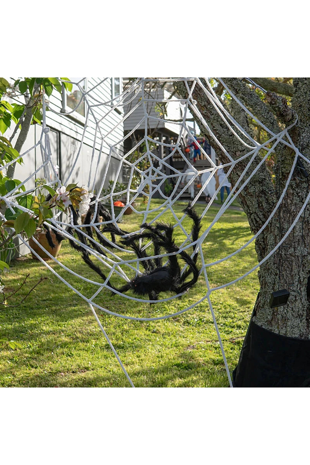 Halloween Hanging Spider Web Decor