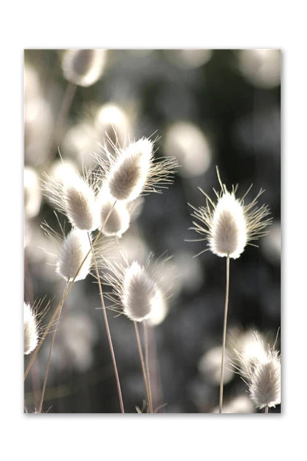 Light Academia Nordic Nature Canvas Poster