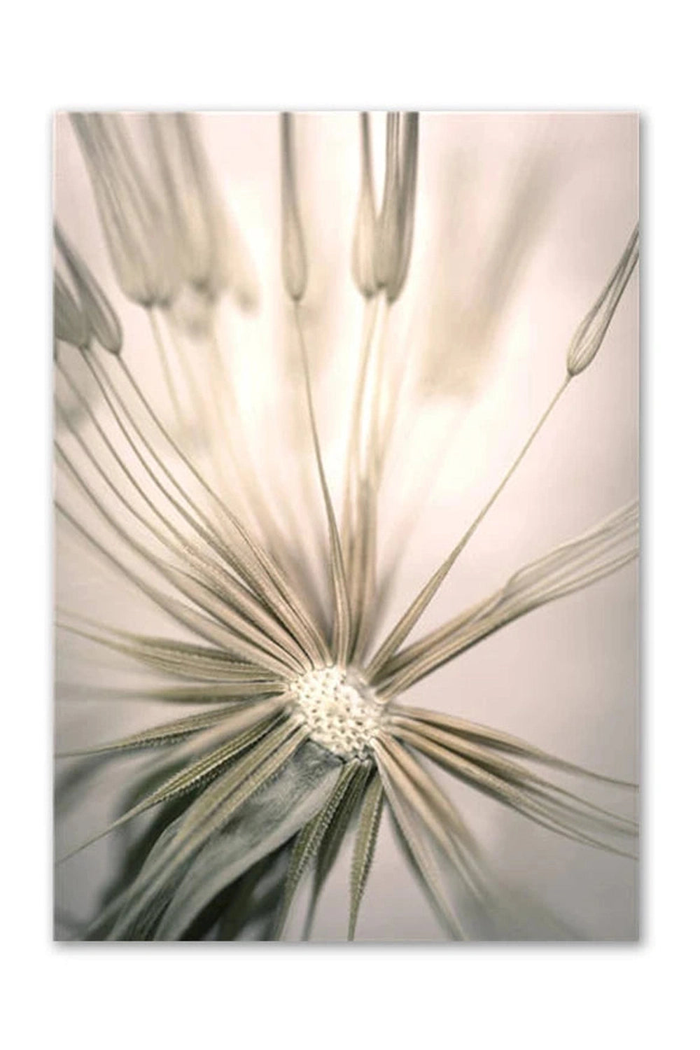 Light Academia Nordic Nature Canvas Poster