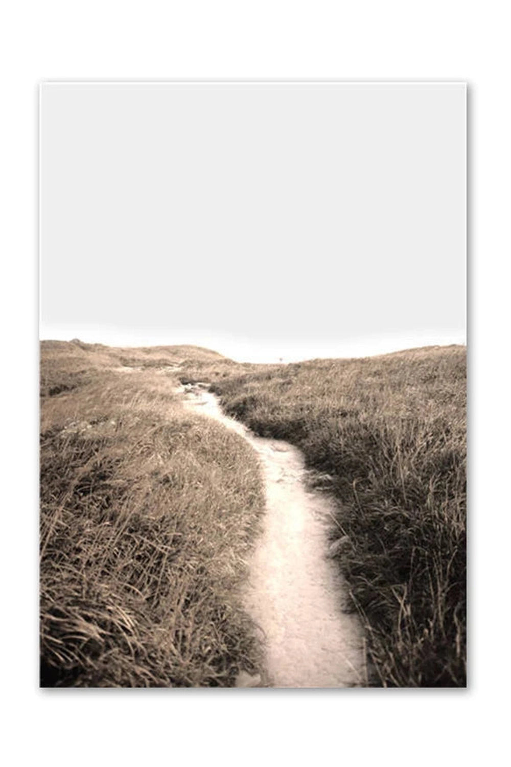 Light Academia Nordic Nature Canvas Poster