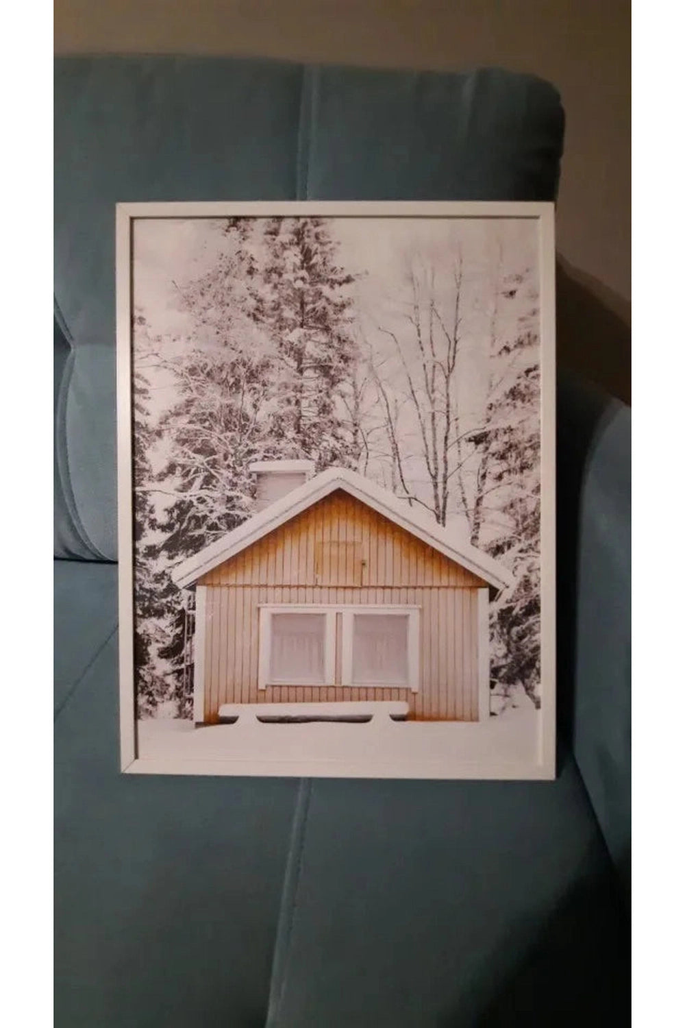 Winter Forest Canvas Poster