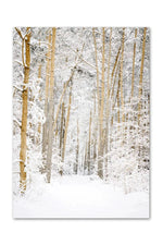 Winter Forest Canvas Poster