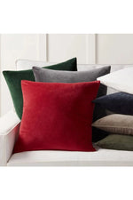 Velvet Sofa Decoration Pillow Case