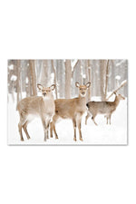 Winter Forest Canvas Poster