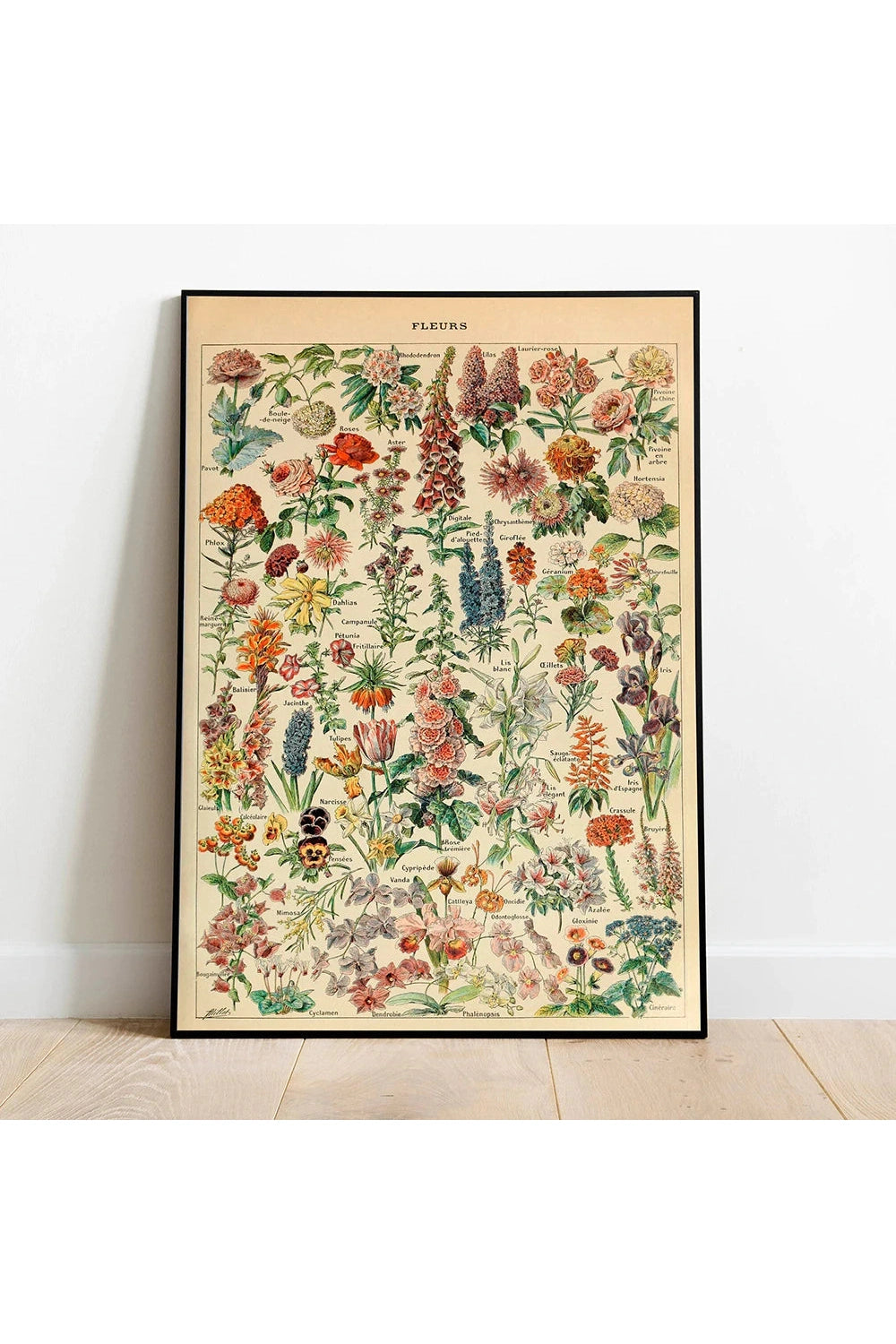 Botanical Vintage Canvas Poster