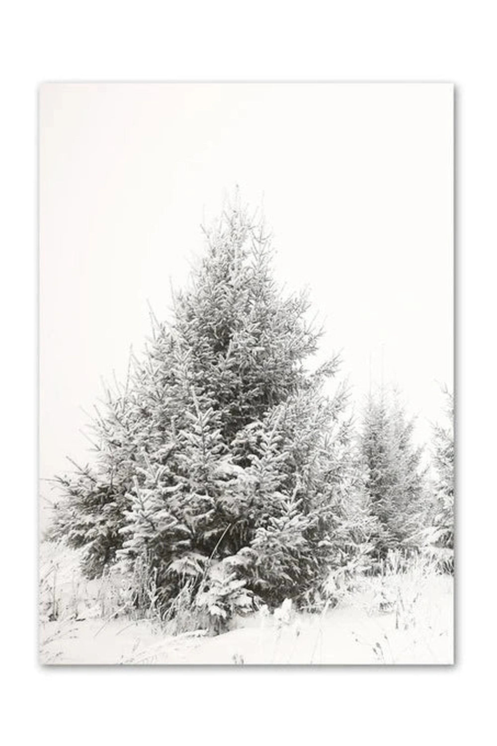 Winter Forest Canvas Poster