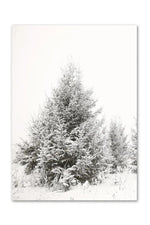 Winter Forest Canvas Poster