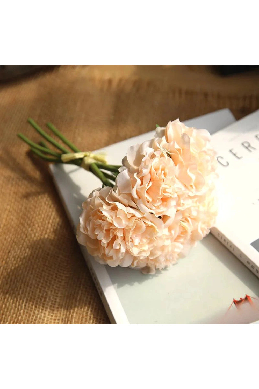 Elegant Pink Hydrangea Blooms