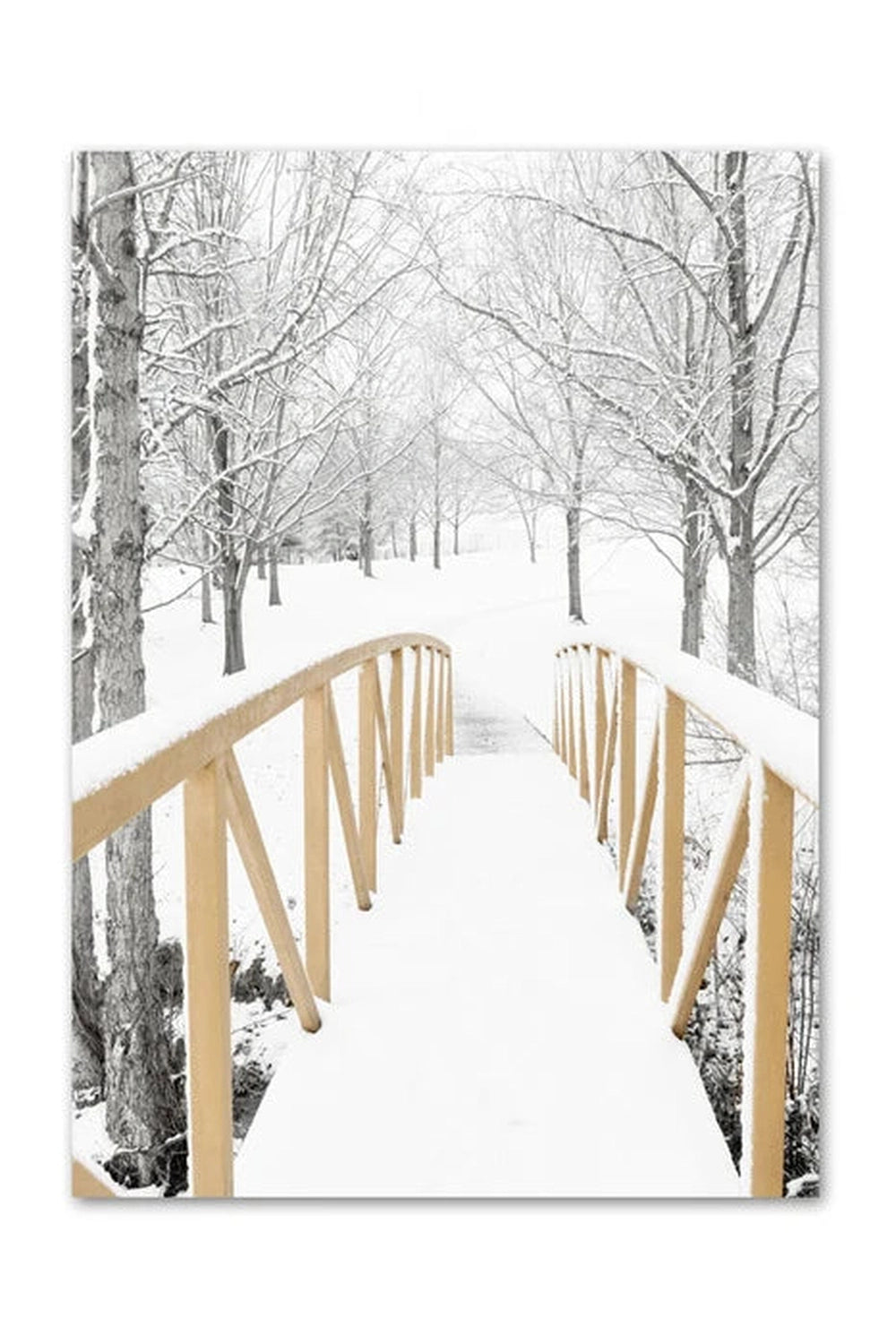 Winter Forest Canvas Poster