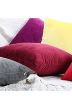 Velvet Decor Accent Pillow Case