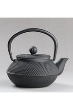 Japanese Iron Teapot