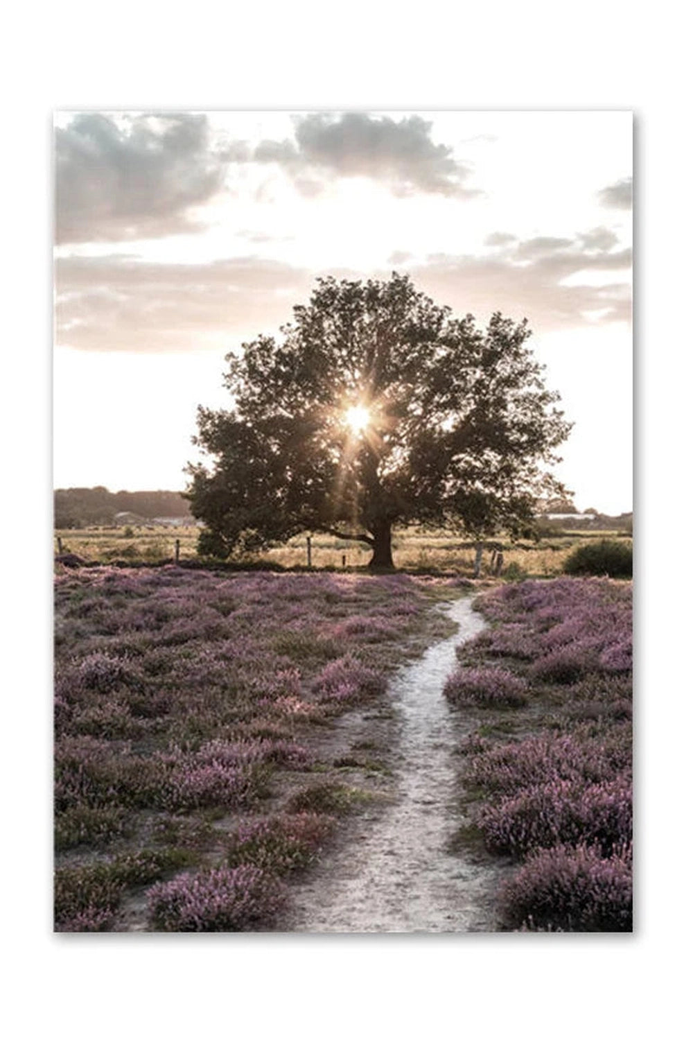 Light Academia Nordic Nature Canvas Poster