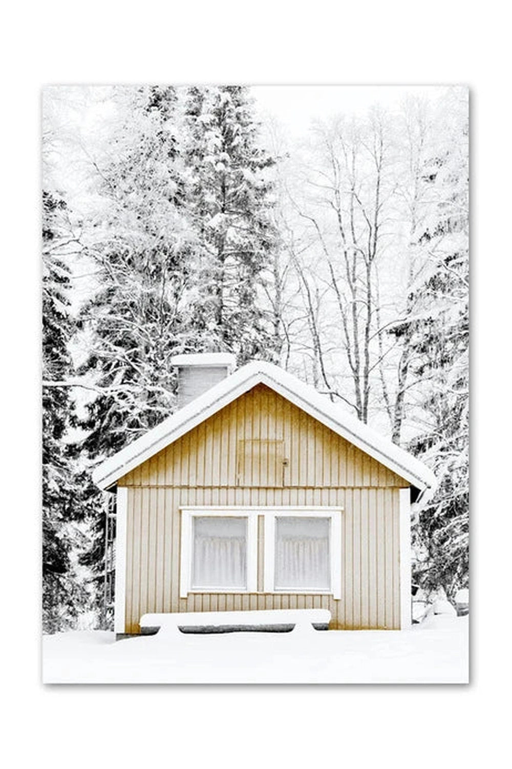 Winter Forest Canvas Poster