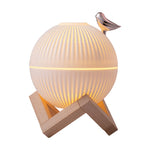 Warm Light Humidifier