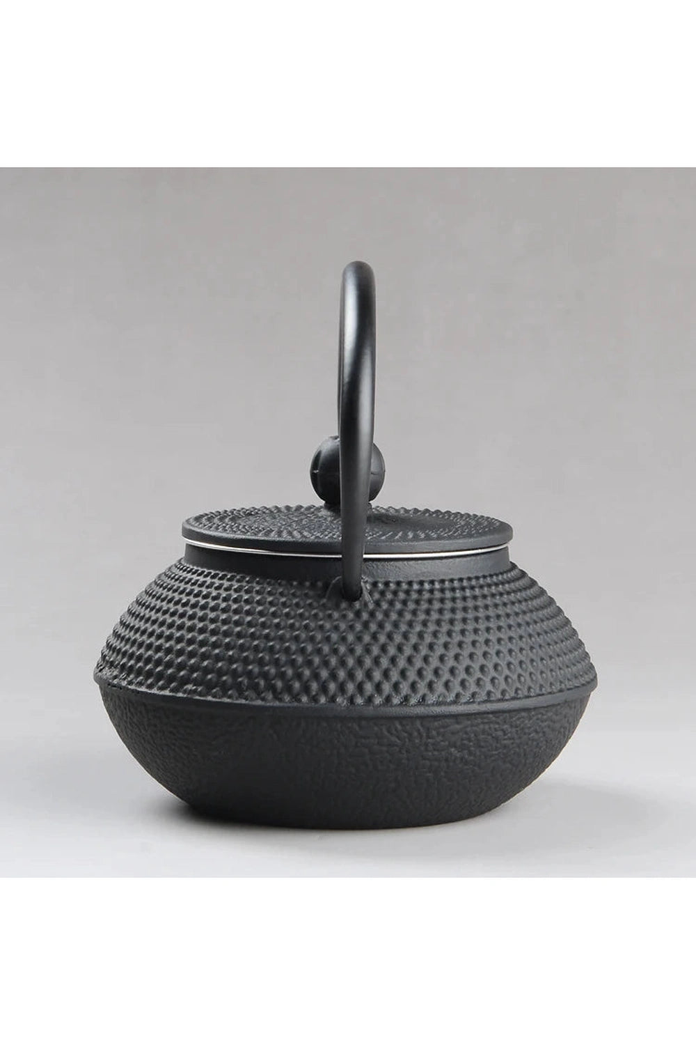 Japanese Iron Teapot