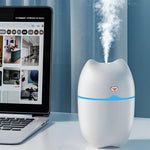 Whispering Kitty Humidifier