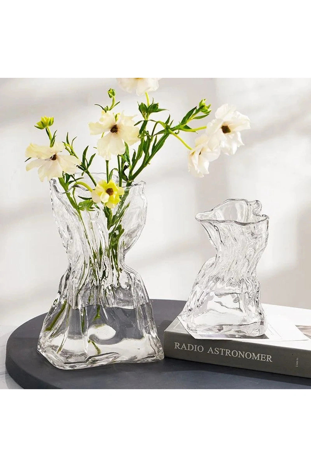 Transparent Glass Hydroponic Vase