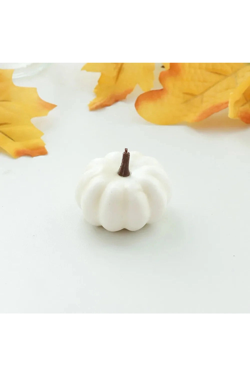 Harvest Mini Pumpkin Assortment