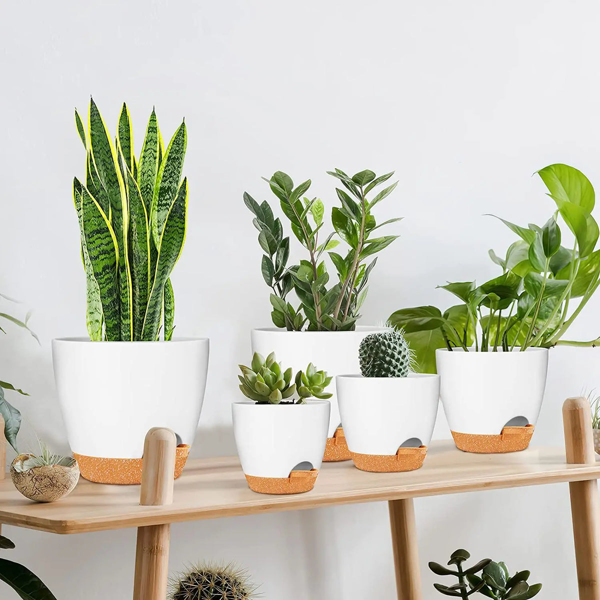 Modern Terra Planter Pot