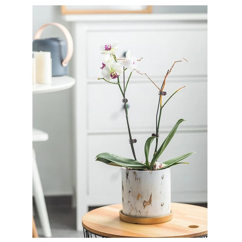 Marble Gold Leaf Plant Pot Set