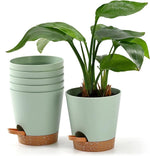 Sage Green Minimalist Plant Pots