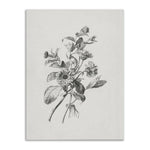 Peony Farmhouse Canvas Poster