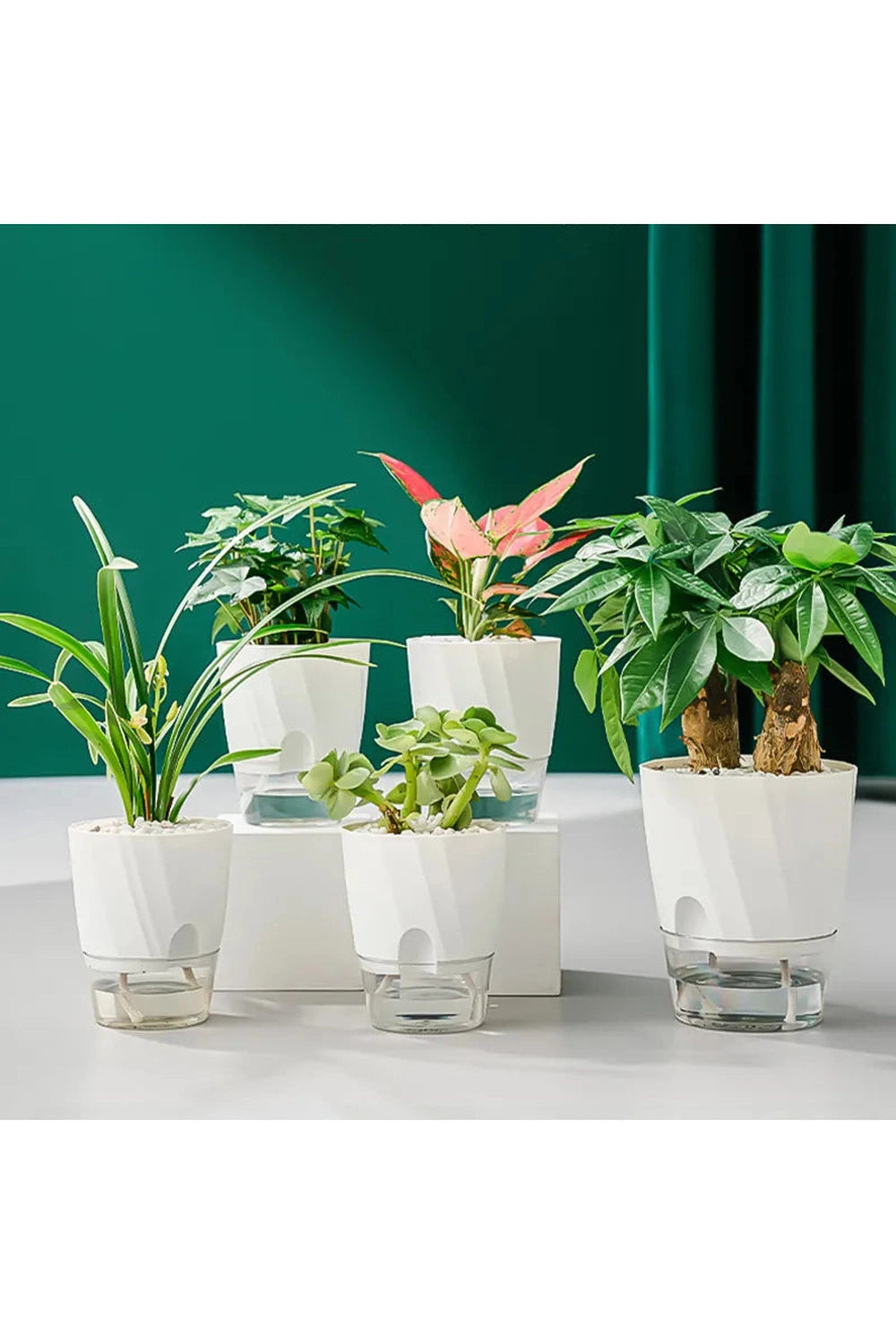 Lazy Transparent Office Plant Pot