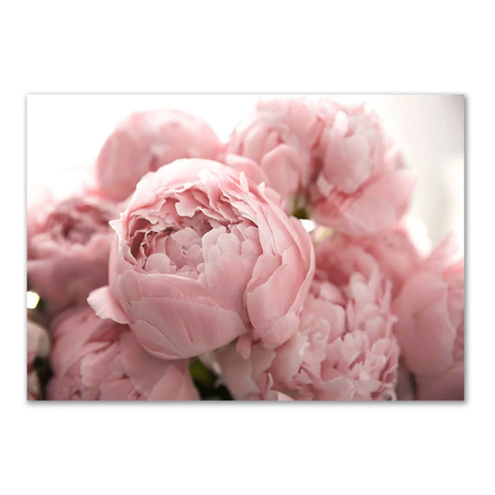 Pink Rose Canvas Poster