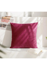 Velvet Decor Accent Pillow Case