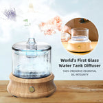 Modern Glass Dome Humidifier