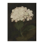 Romantic Floral Canvas Poster