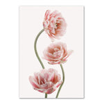 Pink Rose Canvas Poster