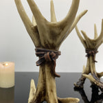 Wildwood Antler Candle Holder