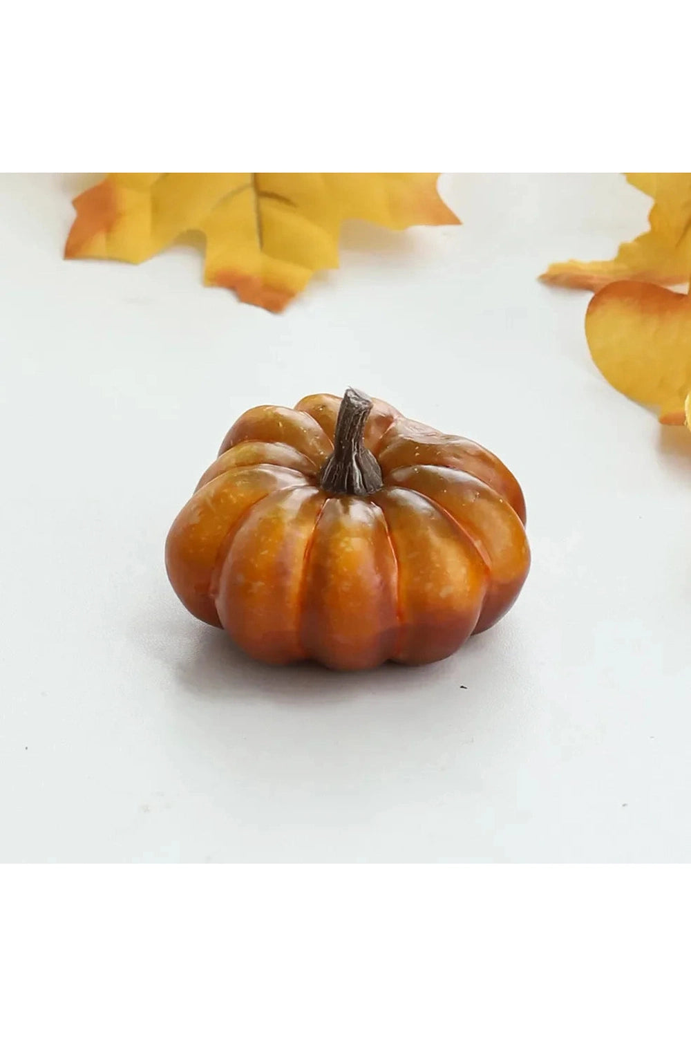 Harvest Mini Pumpkin Assortment