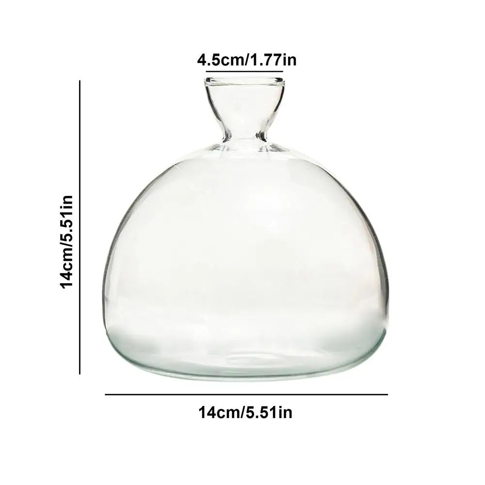 Crystal Clarity Hydroponic Vase