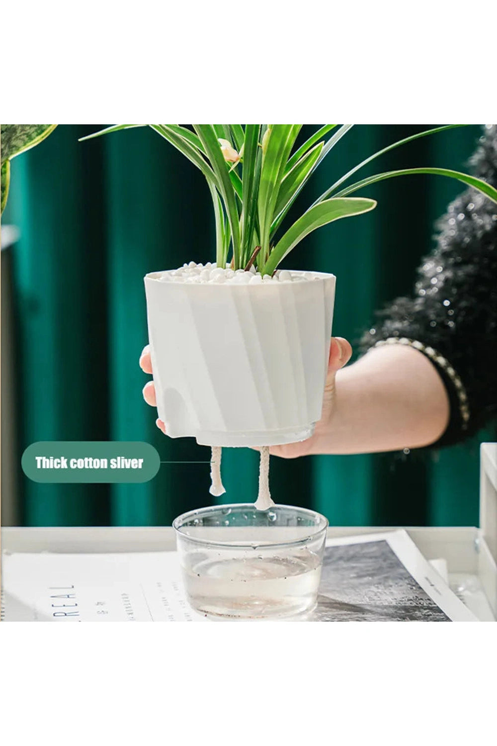 Lazy Transparent Office Plant Pot