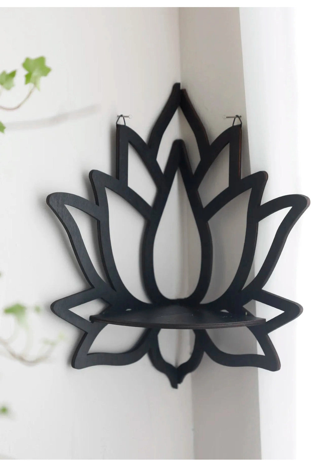 Black Lotus Essential Oil Shelf