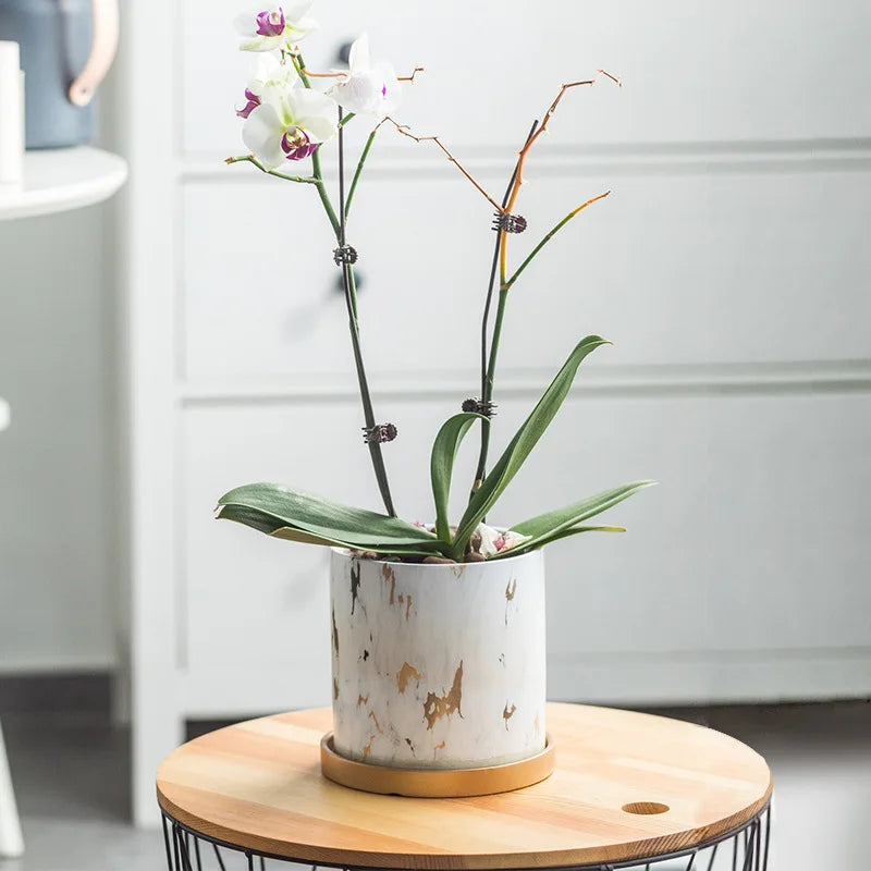 Marble Gold Leaf Plant Pot Set