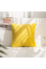 Super Soft Velvet Pillow Case