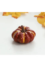 Harvest Mini Pumpkin Assortment