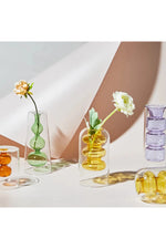 Hydroponic Colored Glass Vase