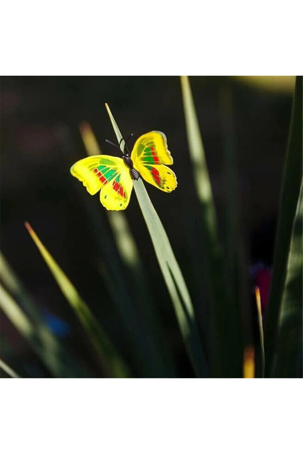 Colorful 3D Butterfly Stickers