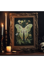 Gothic Nature Gallery Posters