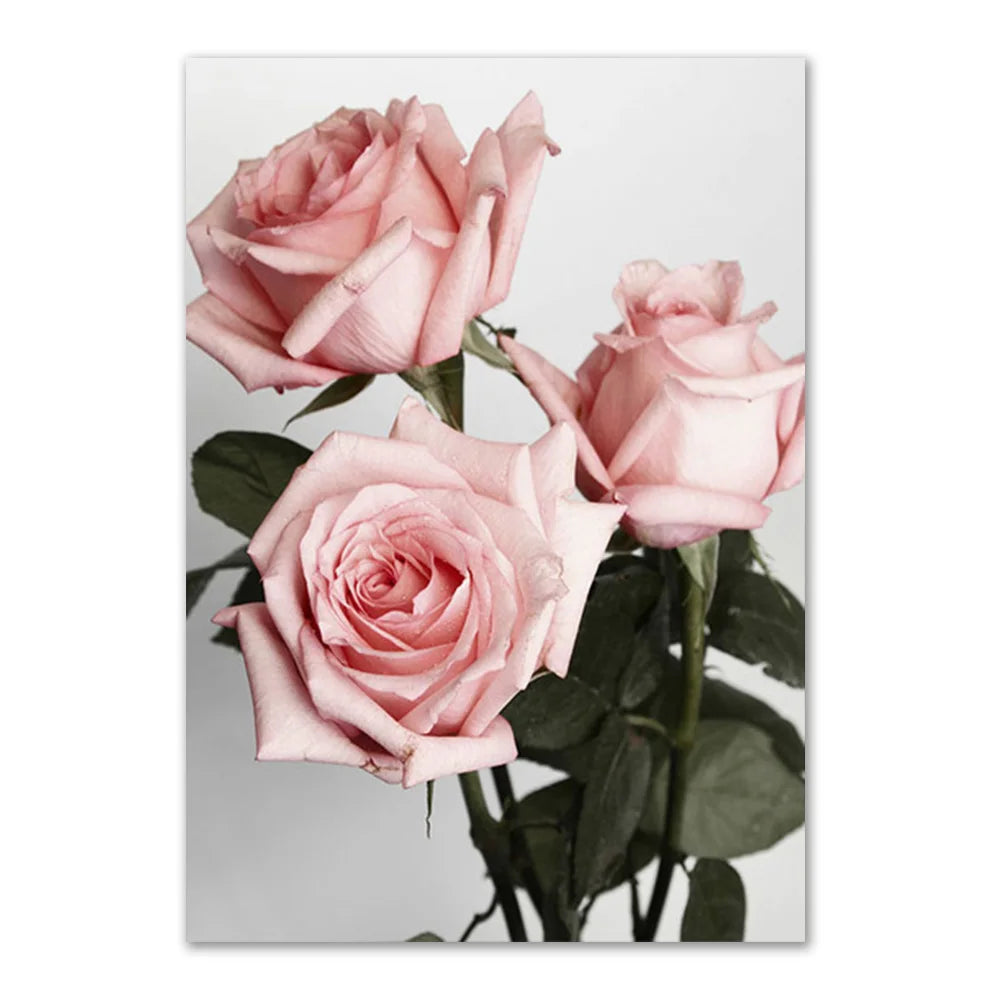 Pink Rose Canvas Poster