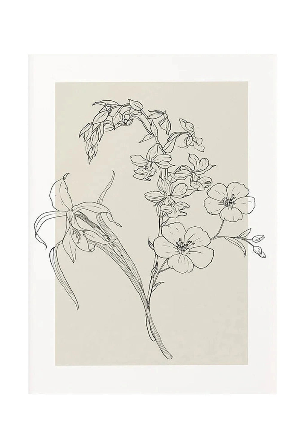 Beige Botanical Line Art Canvas Poster