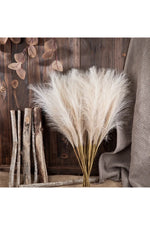 Fluffy Pampas Grass Decor